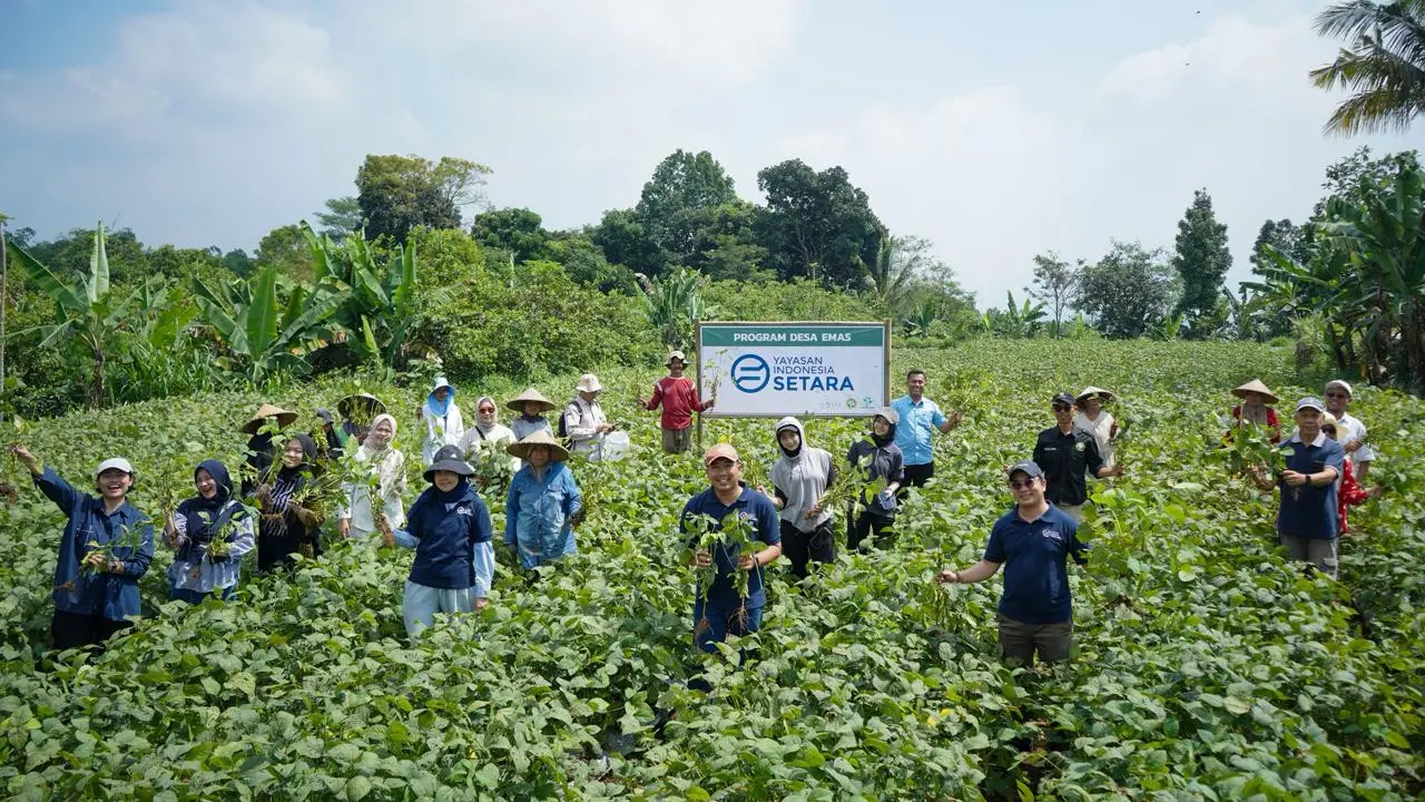 Yayasan Indonesia Setara melaksanakan panen perdana edamame sebagai bagian dari pengembangan ekosistem pertanian terintegrasi yang ditujukan untuk meningkatkan kesejahteraan petani desa (Istimewa)