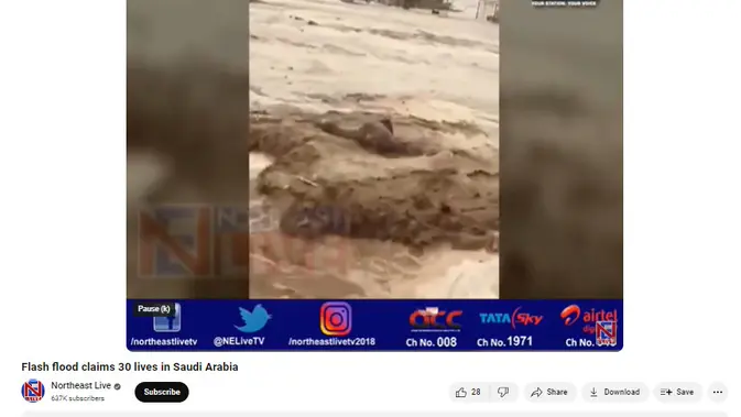 <p>Penelusuran klaim video unta hanyut saat banjir di Dubai</p>