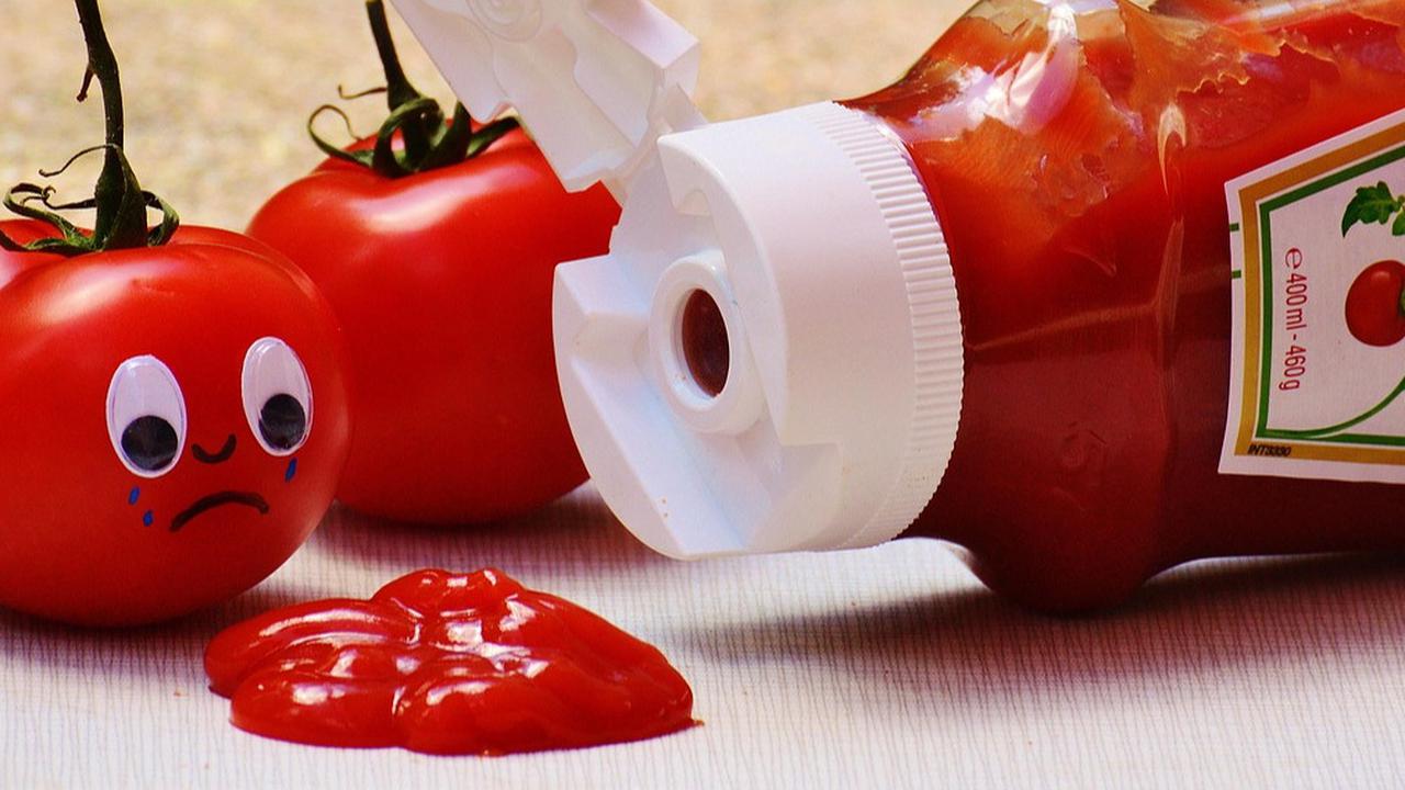 Ilustrasi Tomat dan Saus Tomat