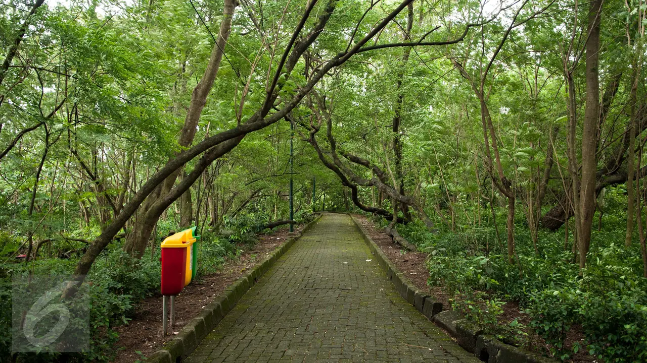 Hutan Kota