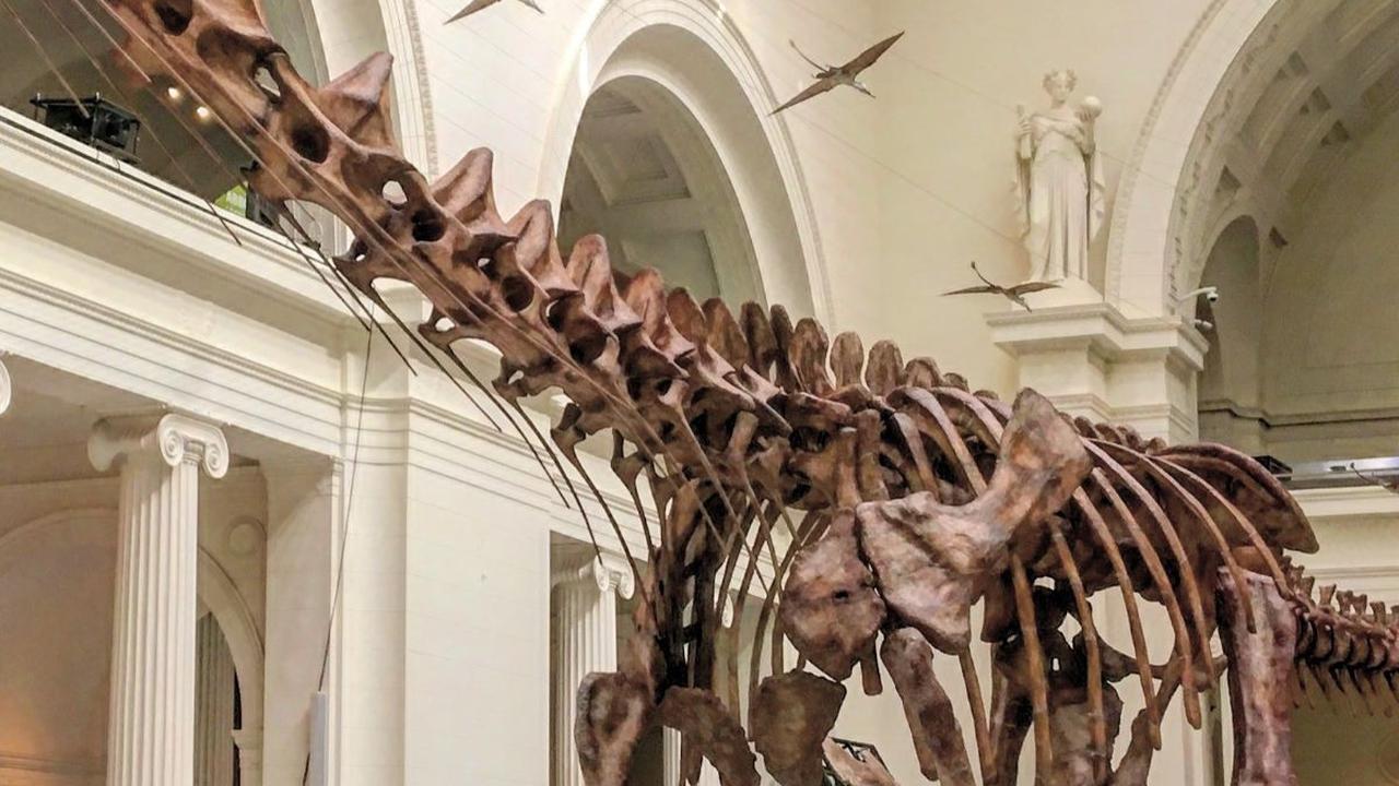 5.&nbsp;Patagotitan