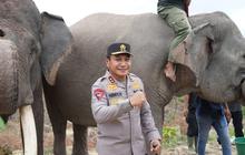 Ramai-Ramai Jenderal TNI dan Polisi 'Jalan-Jalan' ke Hutan, Ada Momen Irjen Herry Heryawan Pose Bareng Gajah