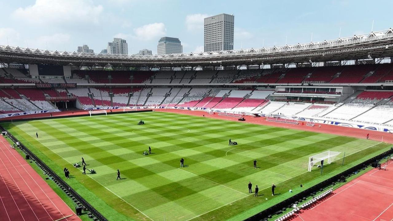 Kondisi Terbaru Rumput GBK Jelang Duel Timnas Indonesia vs Timnas Arab Saudi