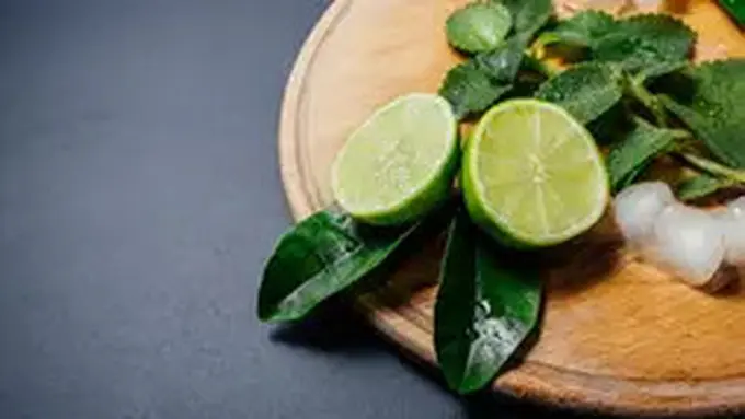 Cara menyimpan daun jeruk