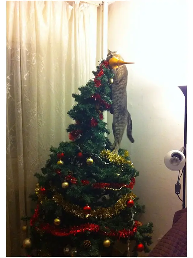 8 Potret Tingkah Kucing Merusak Pohon Natal, Bikin Tepuk Jidat