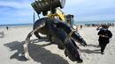 Seekor paus bungkuk dievakuasi dengan alat berat setelah terdampar di pantai Carnon dekat La Grande-Motte, Prancis selatan, Rabu (27/5/2021). Paus bungkuk biasanya tidak ditemukan di Laut Mediterania di mana paus sirip lebih umum. (Pascal GUYOT/AFP)