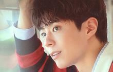 Jangan Sampai Ketinggalan! Park Bo Gum Bakal Gelar Fan Meet di ICE BSD Tangerang, Ini Jadwalnya