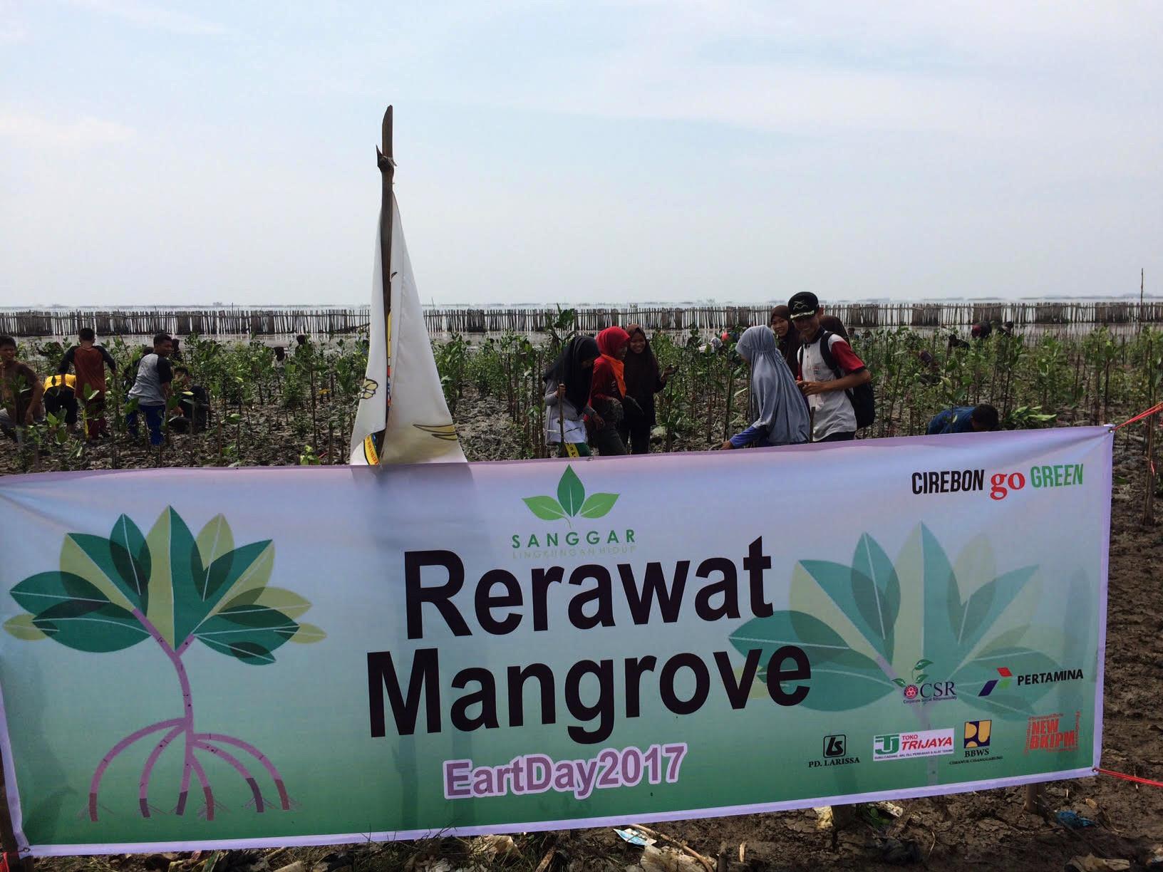 Sejumlah pelajar, mahasiswa maupun aktivis lingkungan hidup menanam bibit mangrove di pesisir Cirebon, Jawa Barat. (Liputan6.com/Panji Prayitno)