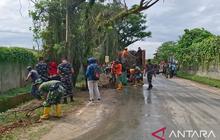 Kerja Bakti Sorong Bersih: Pemkot dan Alumni Manokwari Dukung Prioritas Nasional Presiden Prabowo