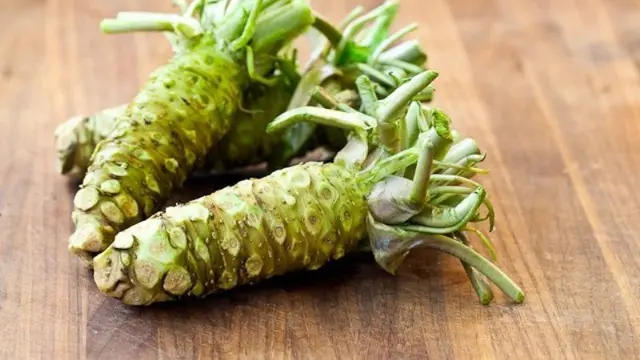 [Bintang] Wasabi