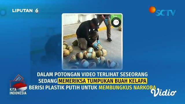Belum lama beredar di media sosial dan aplikasi percakapan, potongan video yang diklaim pengungkapan penyelundupan narkoba dari Cina yang dimasukkan ke dalam kelapa muda, dengan tujuan merusak generasi Indonesia. Benarkah demikian?