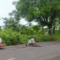 Gufron saat memperbaiki jalan yang rusak di Lamongan. (Merdeka.com)