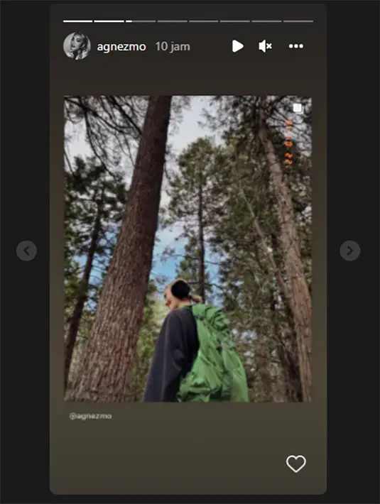 <p>Agnez Mo (Instagram/agnezmo)</p>