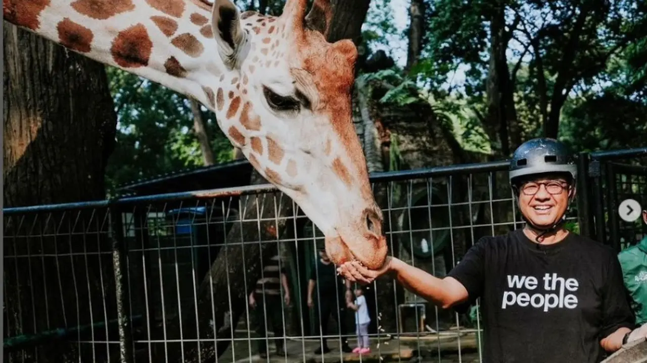 Jadi Pengangguran, Anies Baswedan Pilih Beri Makan Jerapah dan Naik Dinosaurus