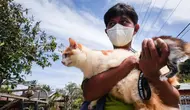 Seorang relawan menyelamatkan kucing dari sebuah rumah yang ditinggalkan saat penduduk dievakuasi setelah letusan gunung berapi Gunung Ruang di Pulau Tagulandang di Sitaro, Sulawesi Utara pada tanggal 4 Mei 2024. (Ronny Adolof BUOL/AFP)