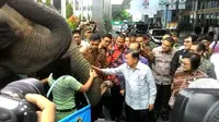 Wapres Jusuf Kalla disambut gajah (Liputan6.com/ Ahmad Romadoni)