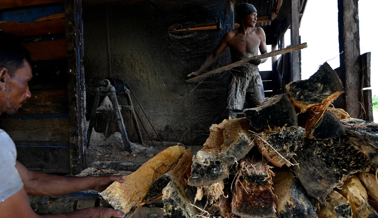 Pekerja mengolah bahan dari pohon sagu di sebuah desa di Labuhan Haji, provinsi Aceh selatan (26/10/2021). Pohon Sagu, atau Rumbia, banyak tumbuh di berbagai wilayah di Indonesia. (AFP/Chaideer Mahyuddin)