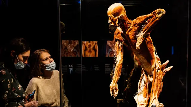 Melihat Pameran Mayat Manusia di Rusia yang Tuai Kecaman