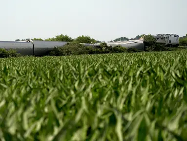 Kereta Amtrak yang tergelincir setelah menabrak truk sampah terlihat di luar ladang jagung dekat Mendon, Missouri, Amerika Serikat (27/6/2022). Kepala Southwest mengatakan kereta dari Los Angeles ke Chicago ini bertabrakan dengan truk sampah, kata juru bicara Amtrak Kimberly Woods. (AP Photo/Charlie Riedel)