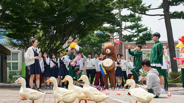 The School Nurse Files