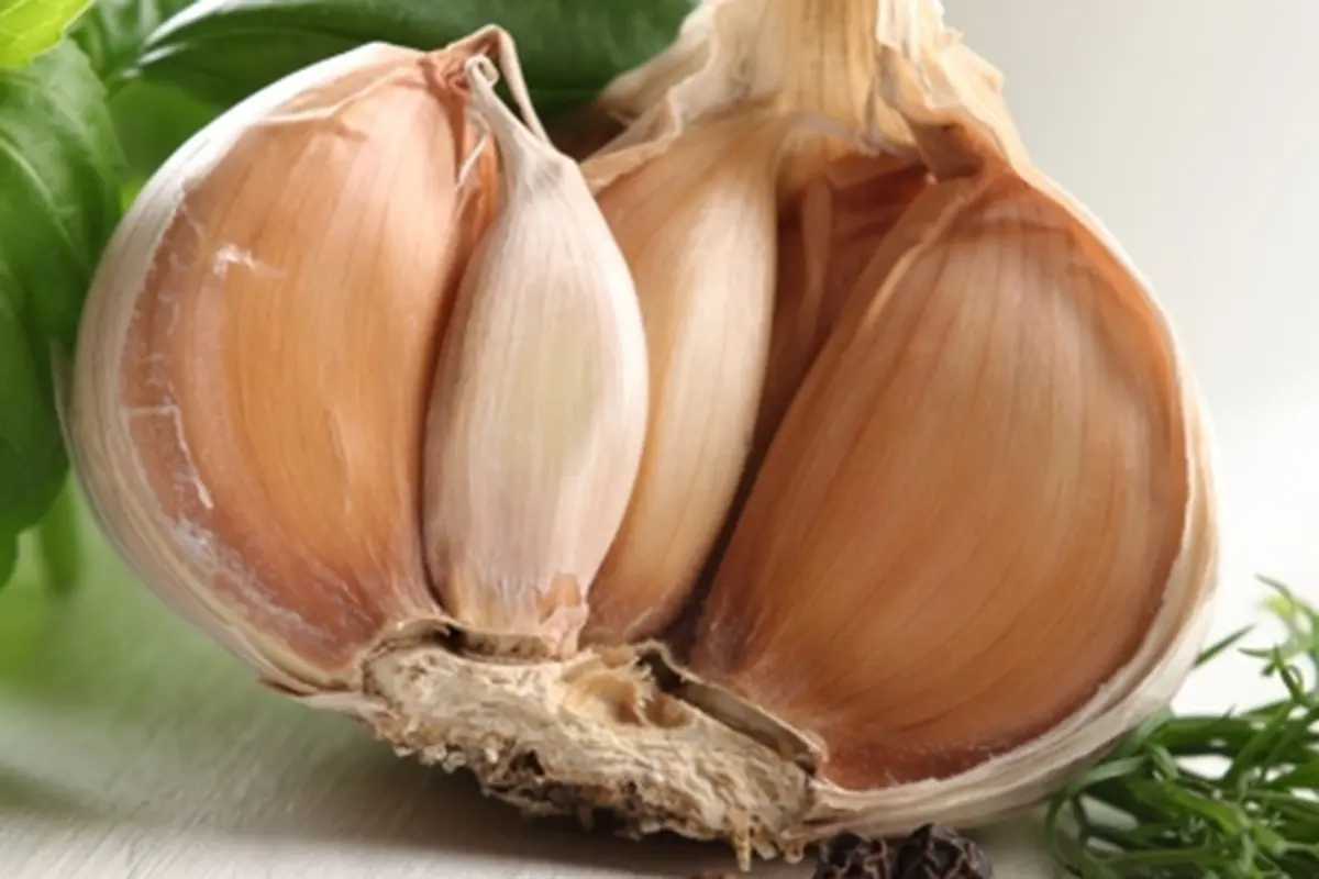 Foto: copyright by shutterstock.com