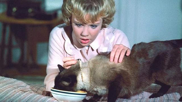 That Darn Cat! (1965)