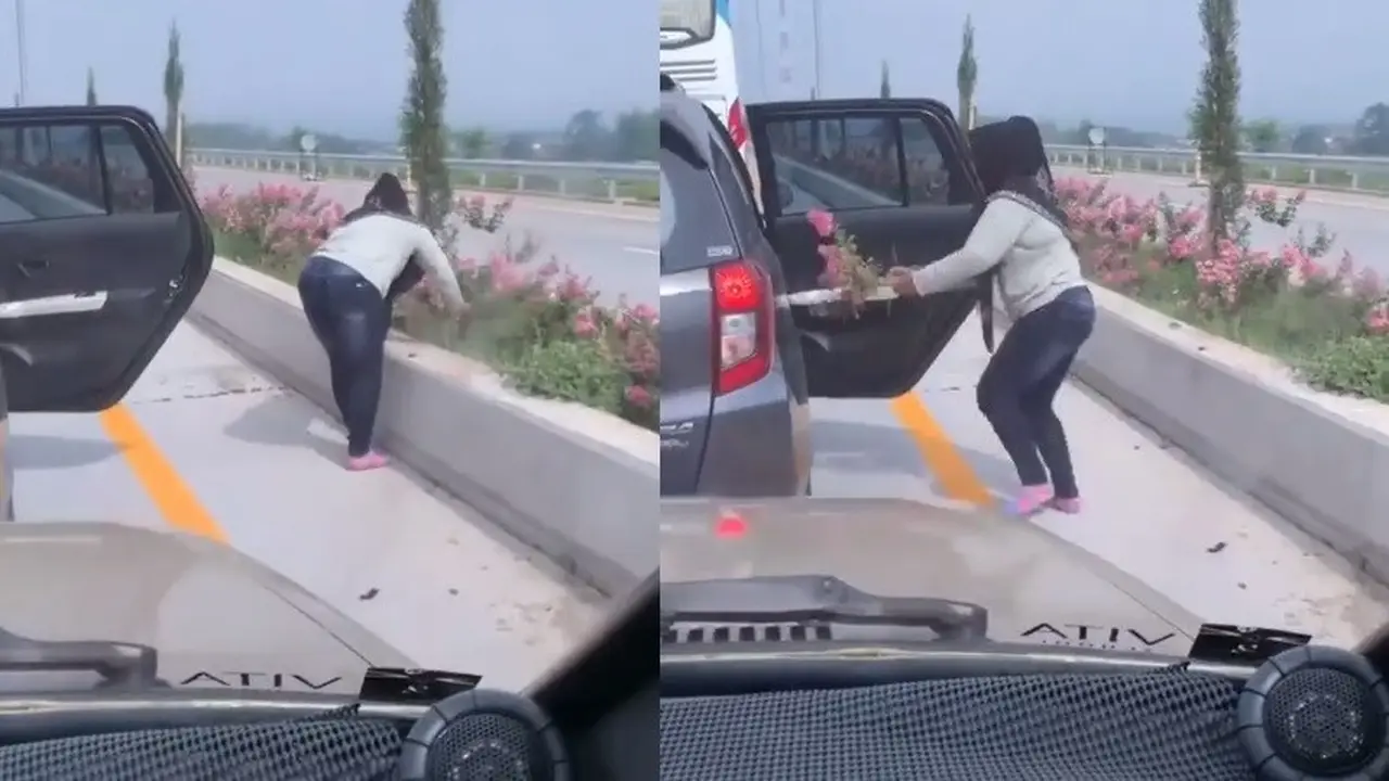 viral emak-emak petik bunga jalan tol