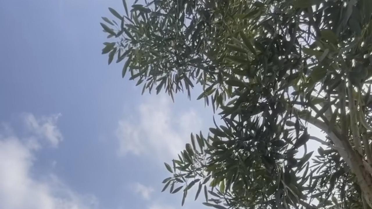 Dibangun dari Hasil Kerja Keras, Potret Rmah Baru Tissa Biani yang Cozy Minimalis Meski Belum Rampung