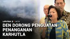 Rapat Bareng Presiden, DEN Dorong Penanganan Karhutla dan Dampak Asap