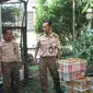 Petugas menggagalkan Penyelundupan 426 burung endemik Kalimantan. (Liputan6.com/Muhammad Ali)