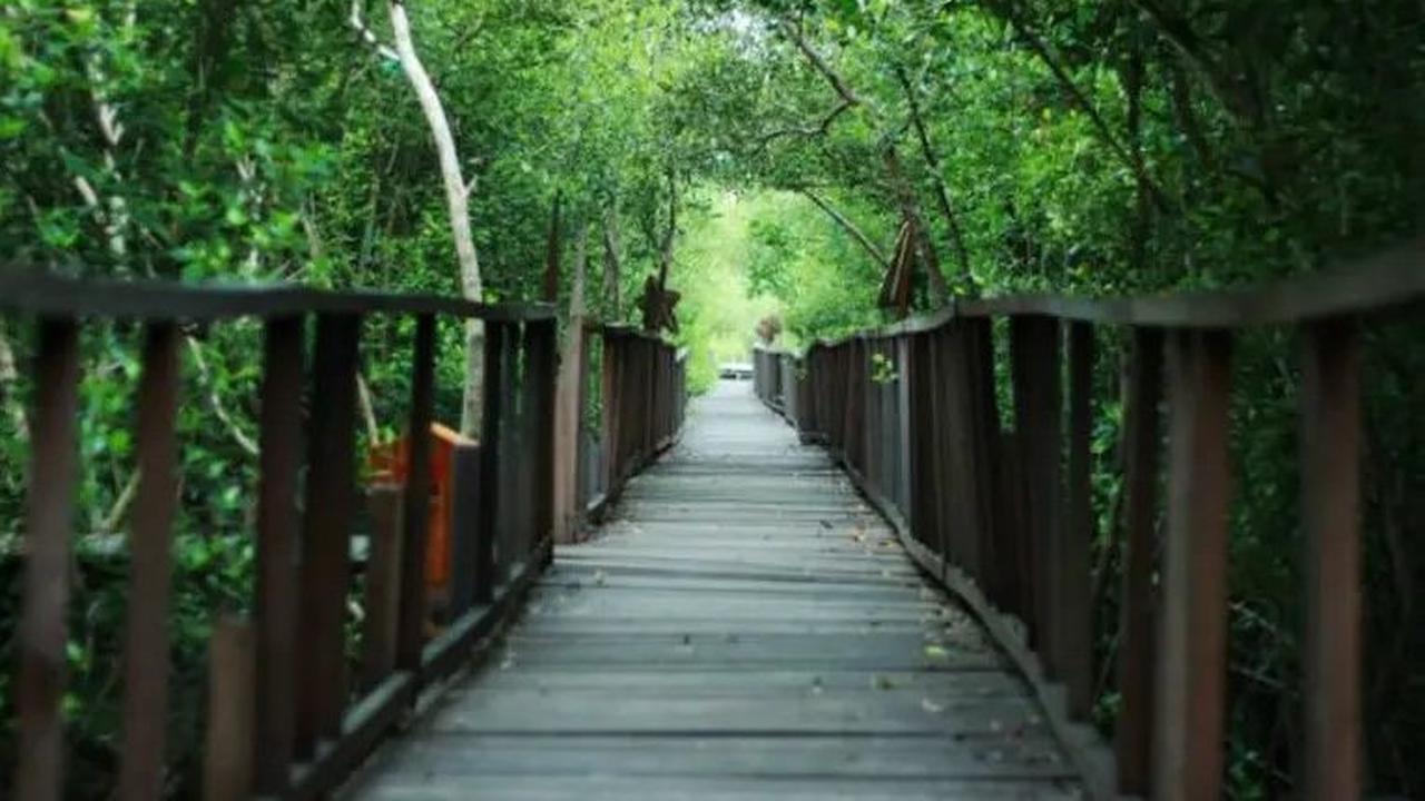 Banyuurip Mangrove Centre