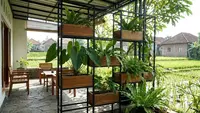 10 Ide Teras Minimalis di Desa dengan Taman Vertikal, Solusi Hunian Sejuk
