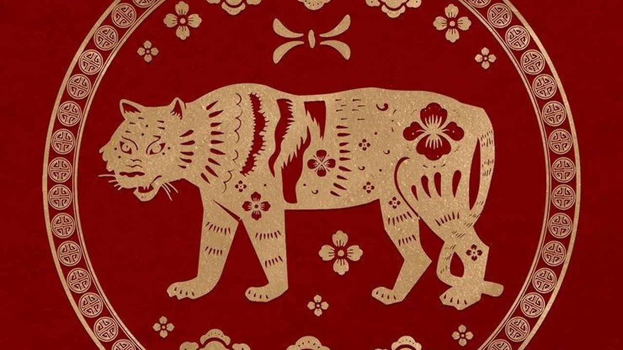 <b>Shio Macan</b><br>
