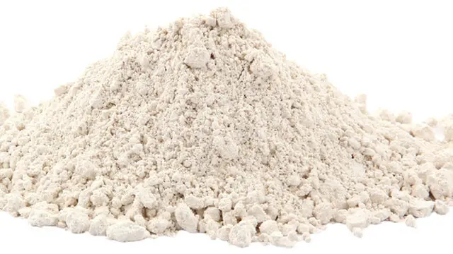 Diatomaceous Earth