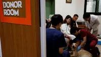 Seorang perawat memeriksa Lucy, seekor anjing jeni Labrador Retriever, di pusar donor darah anjing National Pingtung University of Science and Technology in Pingtung, Taiwan Selatan. Foto : REUTERS/TYRONE SIU