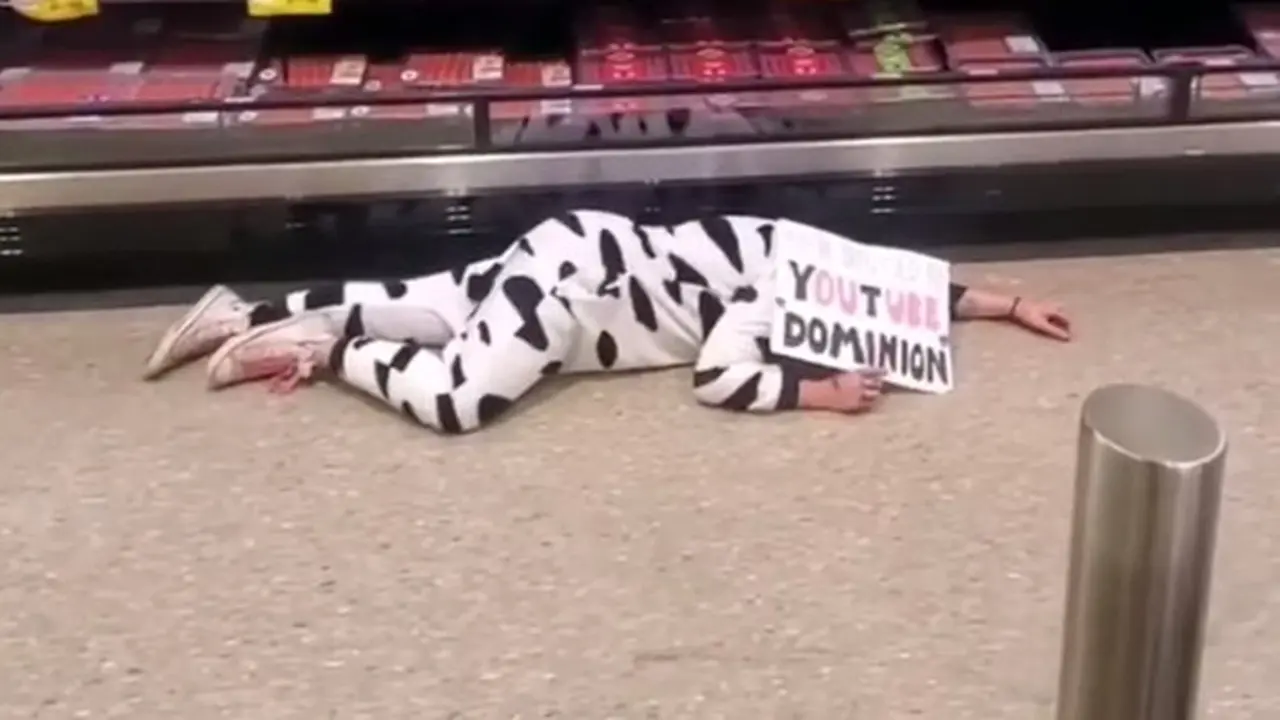 Stef Rose berkostum sapi tiduran di supermarket