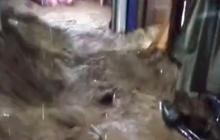 Catat! Puncak & Sekitarnya Masih Dilanda Cuaca Ekstrem Sepekan ke Depan, Warga Diminta Waspada