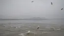 Aktivis pembelot Korea Utara melemparkan botol berisi beras, uang dan USB  ke laut dari pulau Ganghwa, barat Seoul, Selasa (1/5). Tidak ada yang tahu pasti apakah botol yang mereka apungkan dapat tiba dan diterima warga Korea Utara. (AFP/ED JONES)