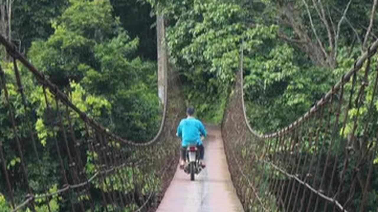 Menhut Bentuk Tim Percepatan Penetapan Hutan Adat, Diisi Akademisi hingga LSM