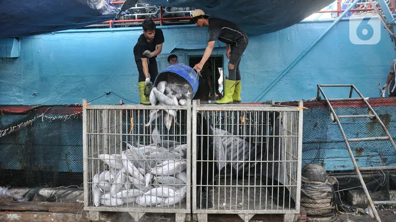 KKP Target Ekspor Perikanan Indonesia 2023 Tembus USD 7,66 M