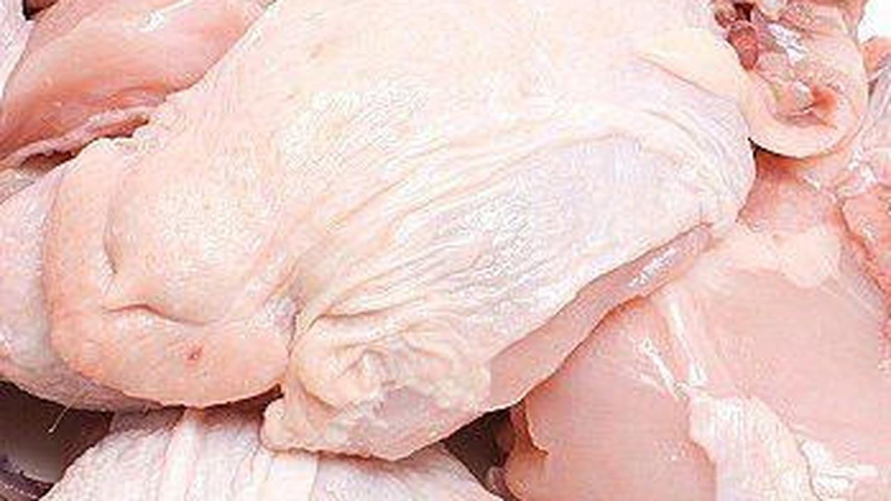 <b>Ayam</b>