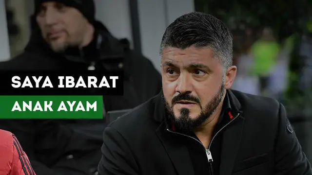 Pelatih AC Milan, Gattuso menganggap dirinya bagaikan anak ayam kecil jika dibandingkan dengan pelatih Arsenal, Arsene Wenger.