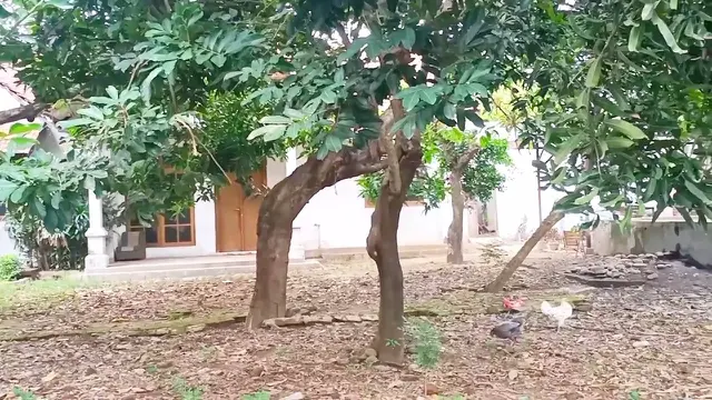 Rumah mendiang Abiem Ngesti