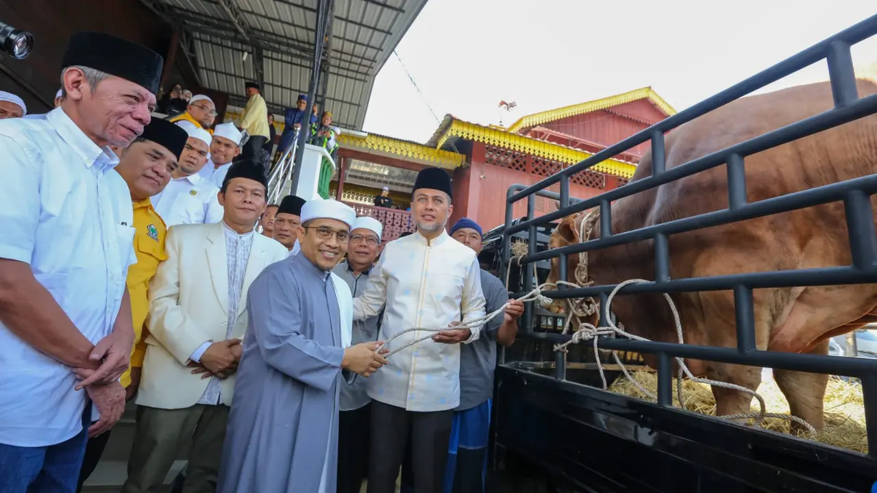 Wagub Sumut, Musa Rajekshah