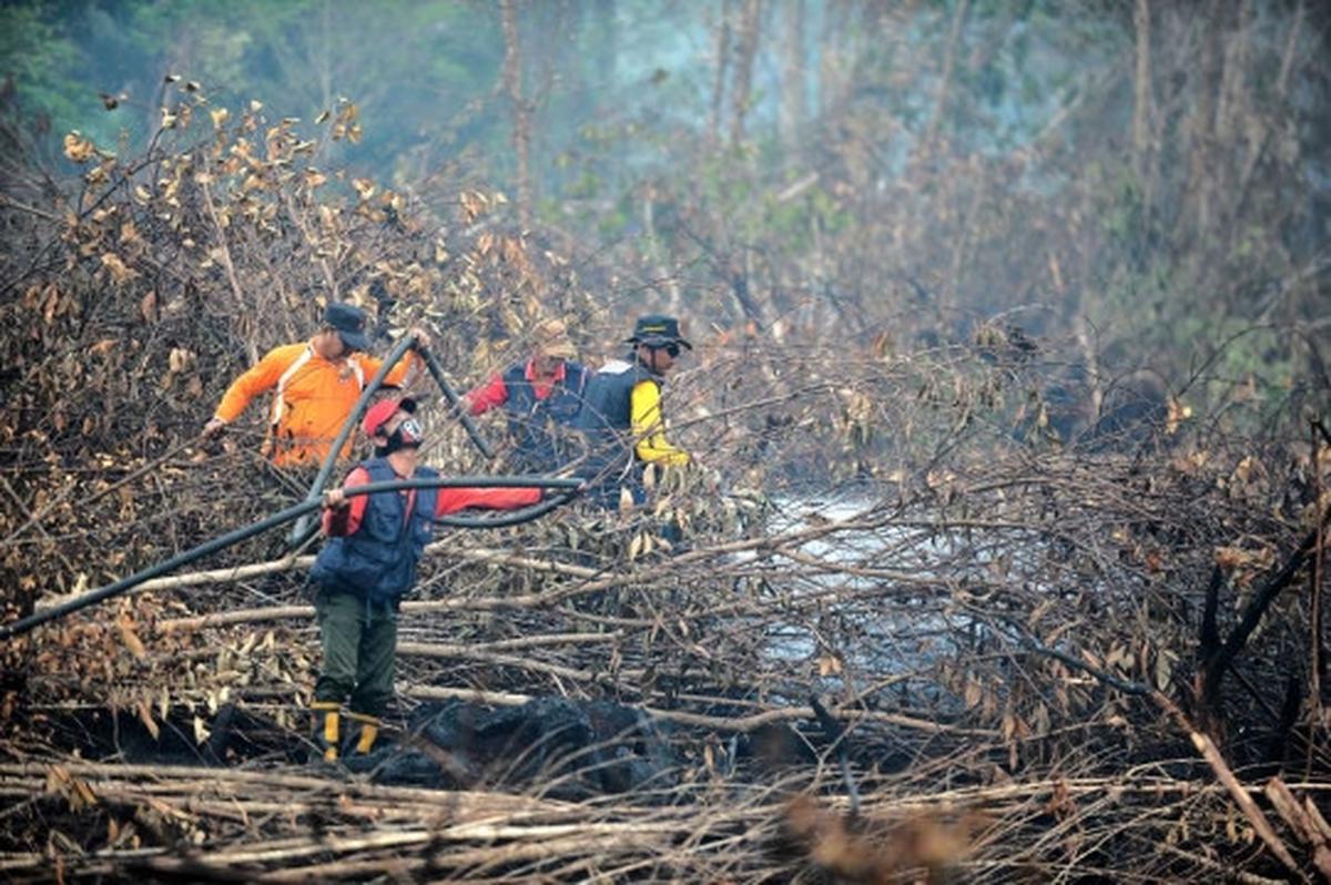 Melihat lebih dekat pemadaman kebakaran hutan Palangkaraya