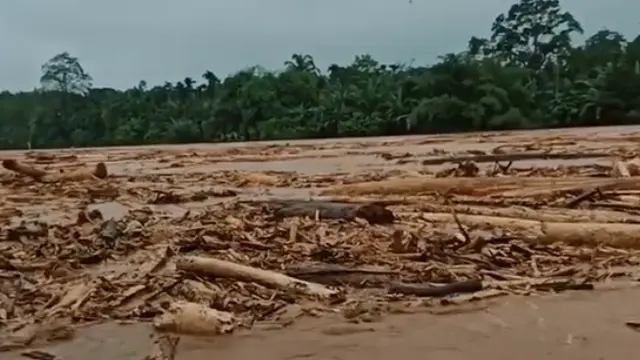 video viral kayu glondongan saat Banjir Bandang di Sungai Batang Toru