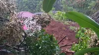 Longsor di Desa Sawangan, Banjarnegara, menyebabkan satu orang meninggal dunia dan dua lainnya luka-luka. (Foto: SRU RAPI Banjarnegara/Liputan6.com)