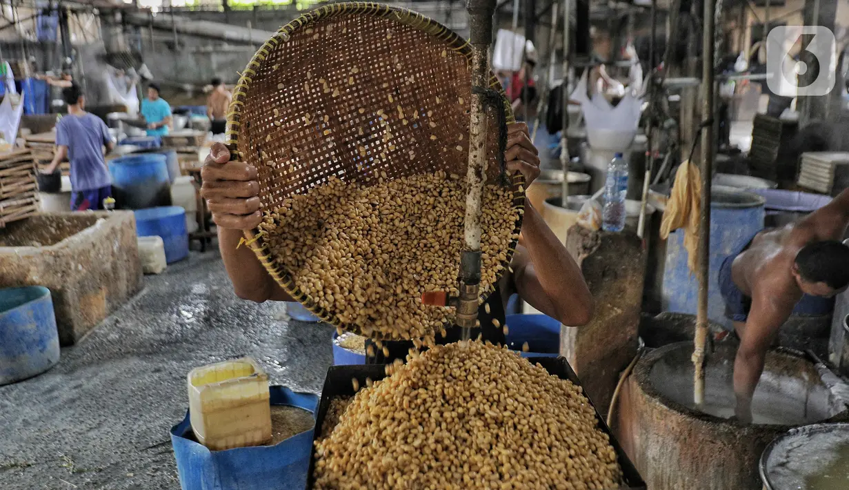 Pekerja tengah membuat tahu di industri rumahan di Jakarta, Minggu (6/11/2022).  Menteri Perdagangan (Mendag) Zulkifli Hasan menjelaskan penyebab kenaikan harga kedelai karena diimpor dari Amerika Serikat. (Liputan6.com/Angga Yuniar)