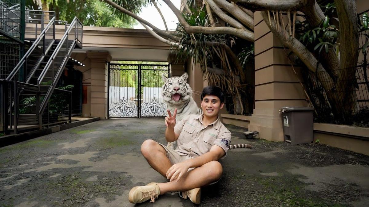Lebih Susah Mengurus Kucing Dibanding Harimau? Begini Kata Alshad Ahmad