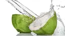 Mengonsumsi air kelapa muda akan menetralisir racun dan menguatkan sistem imun serta mampu meredakan rasa mual saat perjalanan. (Istimewa) 